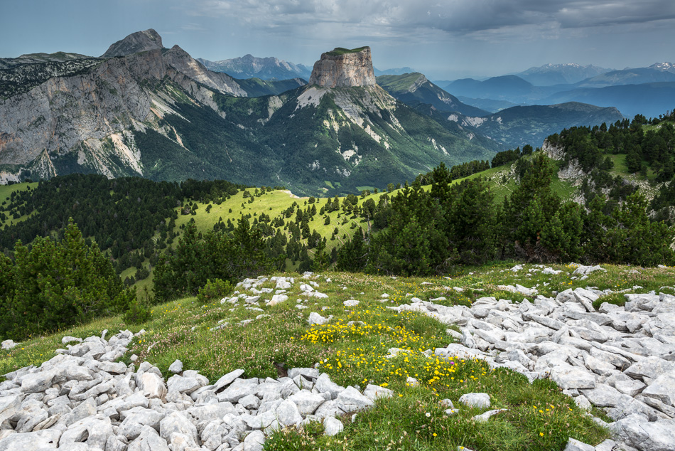 Le Mont Aiguille en été vu depuis les Hauts Plateaux du Vercors au dessus du Pas de l'Aiguille