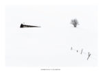 L'arbre, la maison et la cloture. Abstraction. Massif des Bauges.