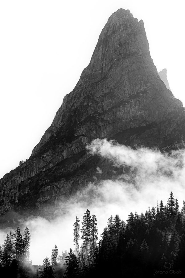 Le Grand Marchet à Pralognan-la-Vanoise et arbres à contrejour