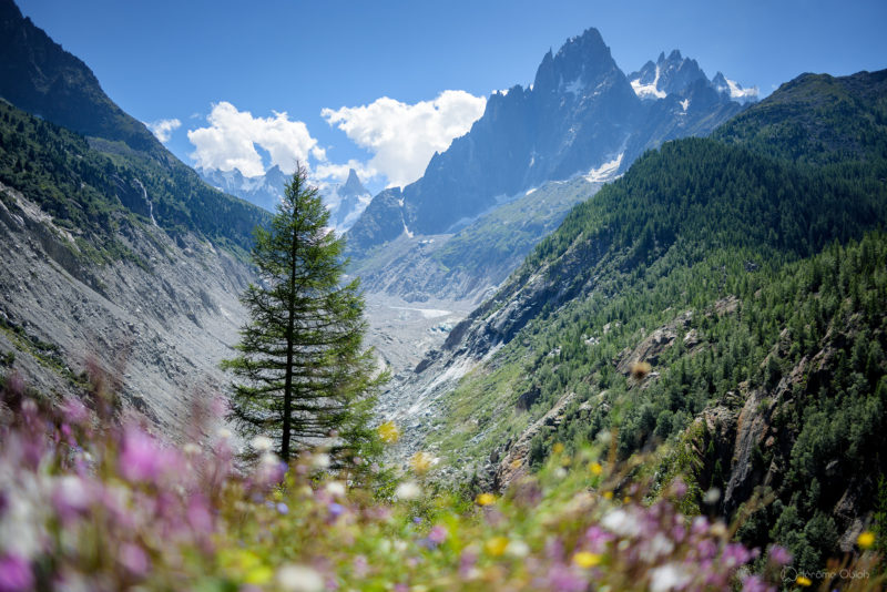 Photo du mont-blanc en noir et blanc avec à droite sa voie normale et l'arete des Bosses