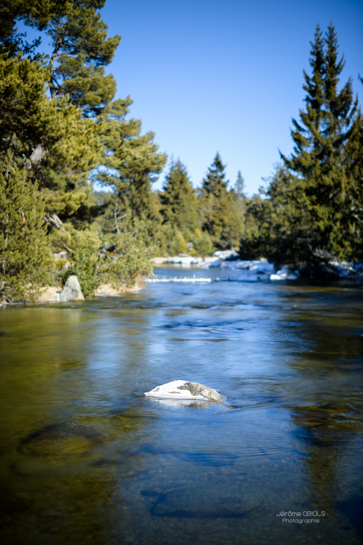 La Tet au Pla de Barres vers Font Romeu