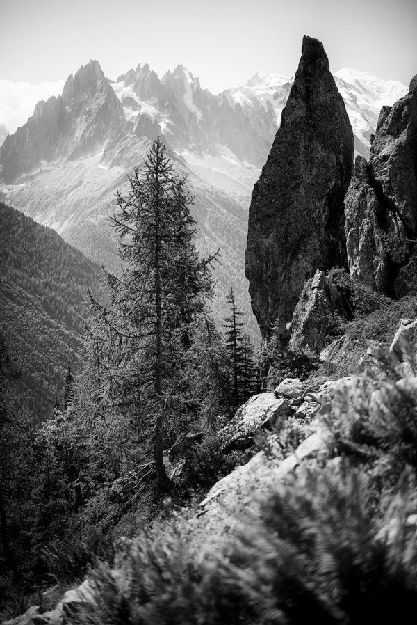 Petite aiguillette d'Argentière et aiguilles de Chamonix