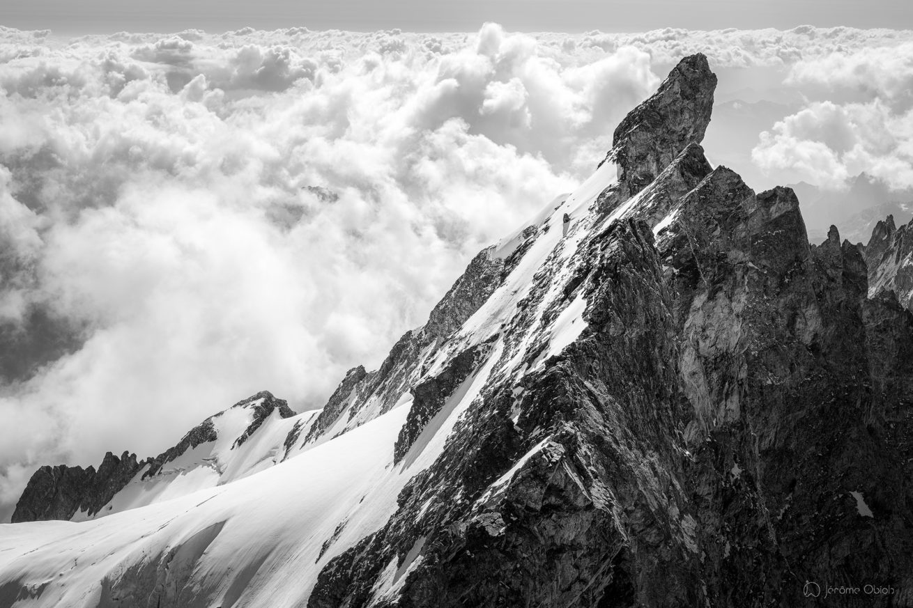 Le Doigt de Dieu et les arêres de la Meije vus depuis le sommet du Grand Pic de la Meije