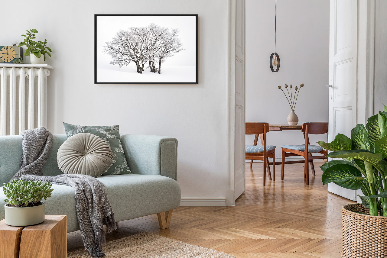 Photo murale d'un arbre enneigé dans un appartement en ville